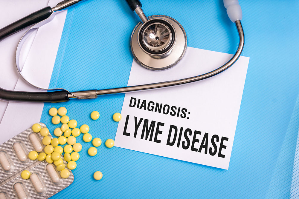 Stages of Lyme disease