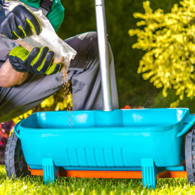 5 Ways to Keep a Lawn Healthy