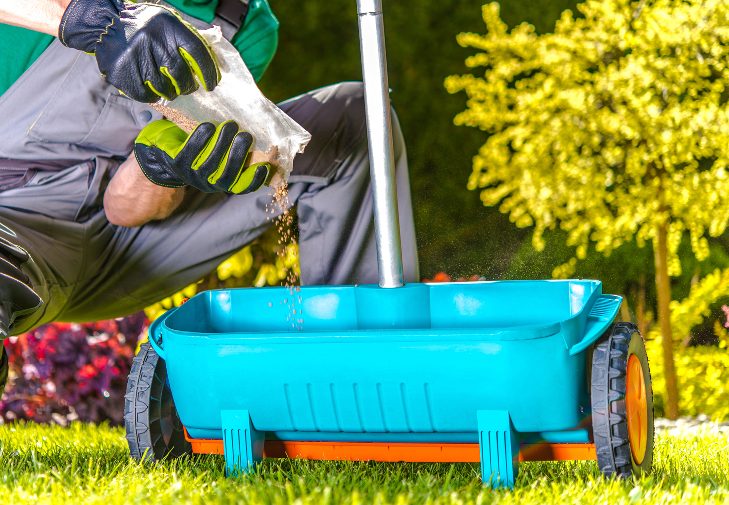 5 Ways to Keep a Lawn Healthy